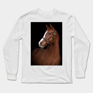 Verrazano filly Long Sleeve T-Shirt